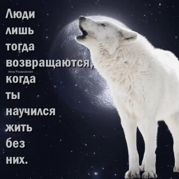 IMG 20220311 111545