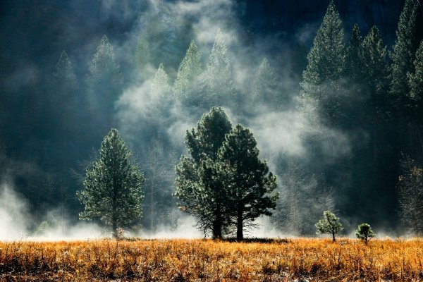 Обои Природа