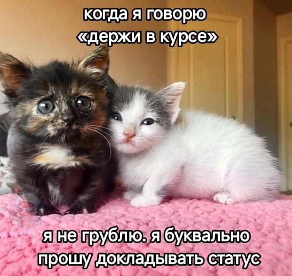 picture_412696973
