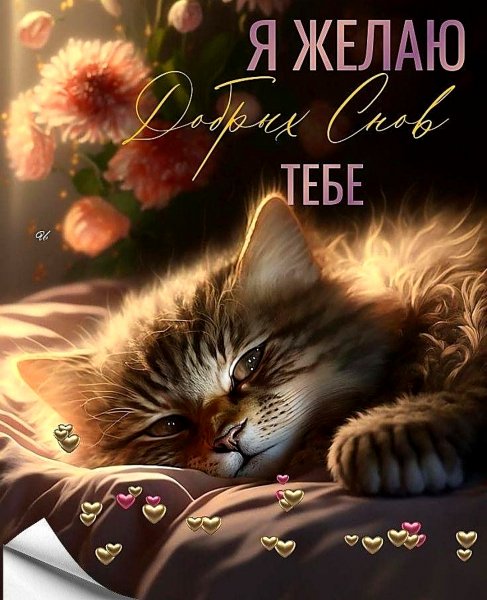 До Завтра!!!