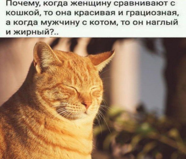 IMG 20250314 193411 753