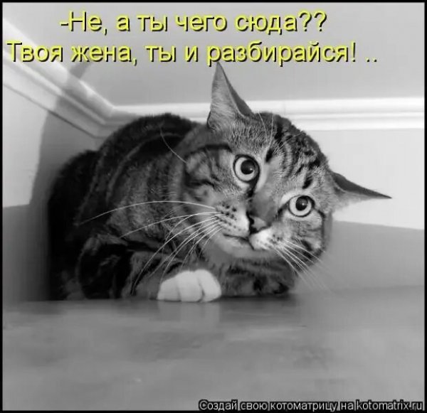 Да! ))