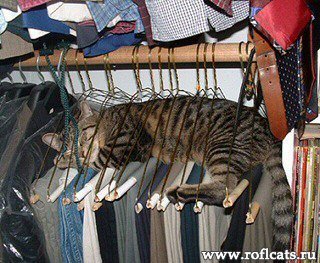 По фэншую не удобно но зато правильно