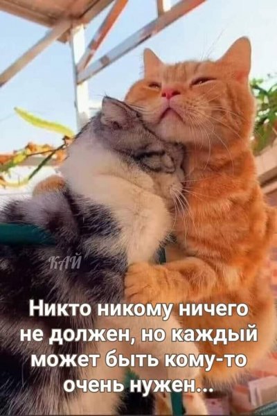 FB IMG 1622405506280