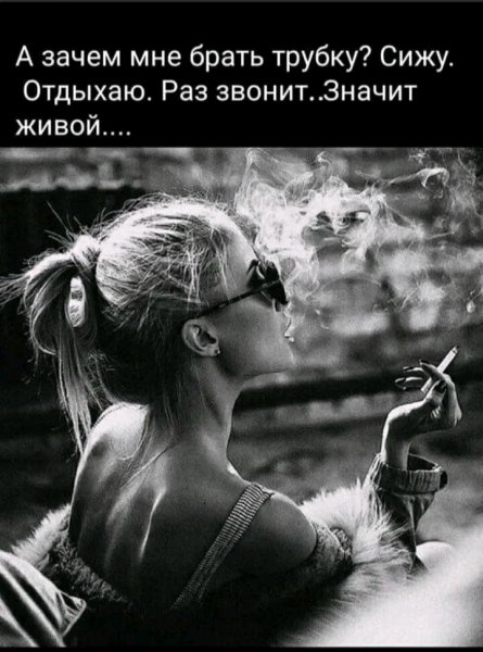 FB IMG 17063358075207397