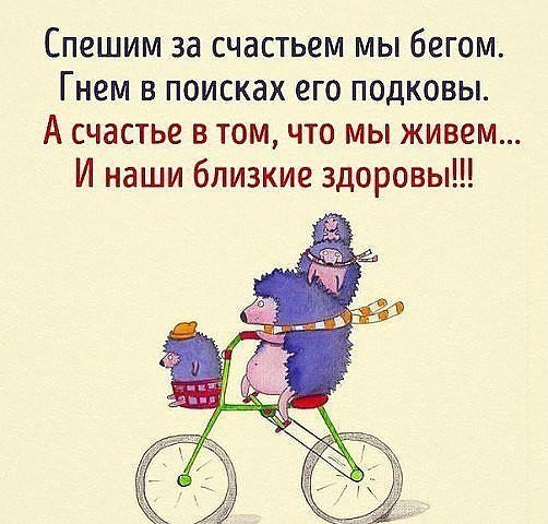 Спешим за счастьем...