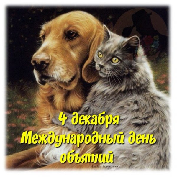 6ae66e8b3ff31d49a940349ec2ab700e