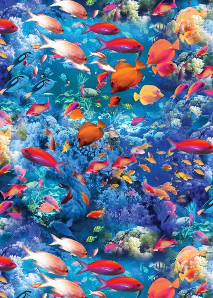 45d8f7513cb89927313b1c9747892a74