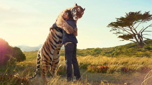 Funny wallpapers Friends forever 041518