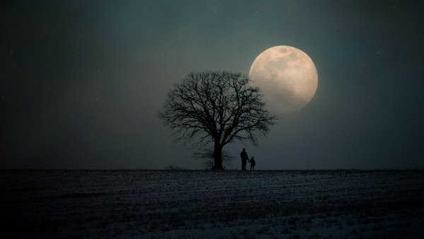 Ea0f447d37083da967a5baa514e6c8ce