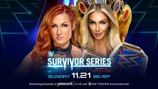 WWE (388)