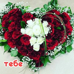 IMG-a7a9dc8fe910efdffb71afe70bb648e5-V