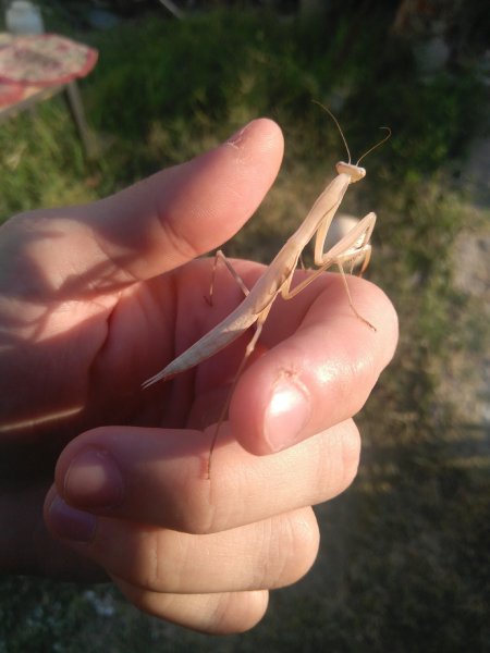 IMG 20190725 175022