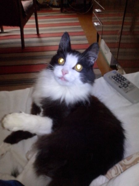 Василий Филиппович