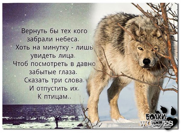 image(2)