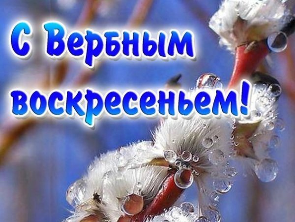 IMG-20200412-WA0010
