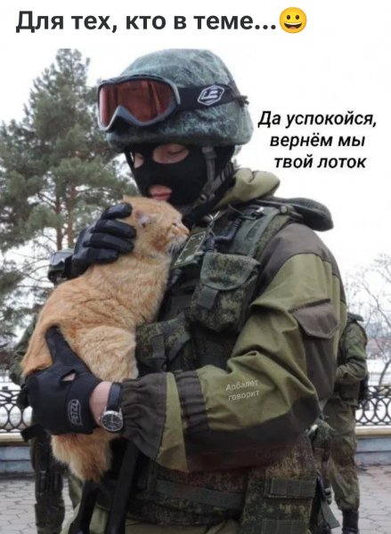 IMG 20260212 092953