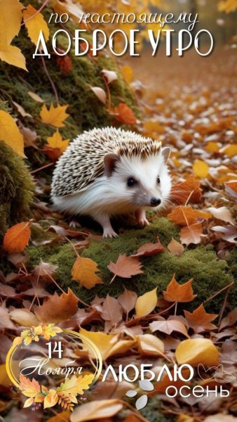 c238cc13a60ddd3967d884ec8e2a