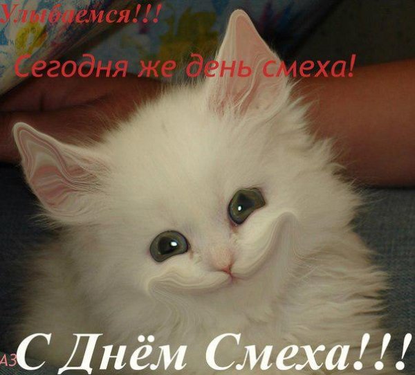 BU7zEf1MiU8