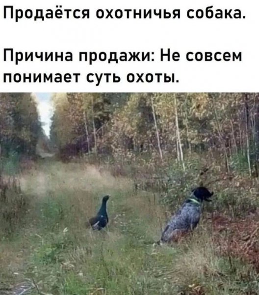 8b27396a54379c3611