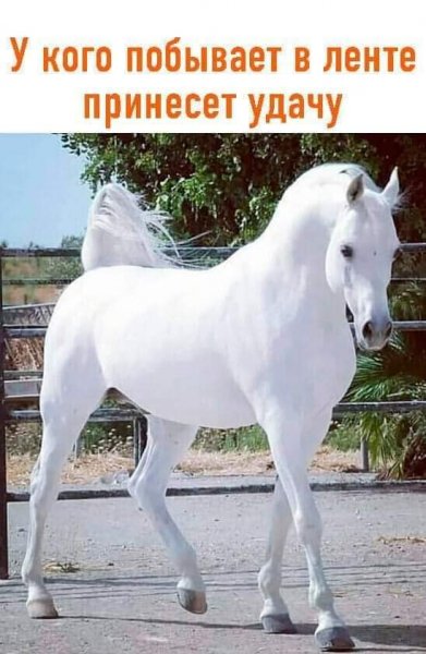 FB IMG 1599350625017