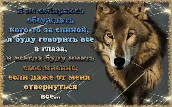 Цитаты Волки