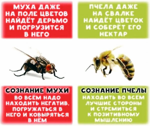 OvBVnKi46ag