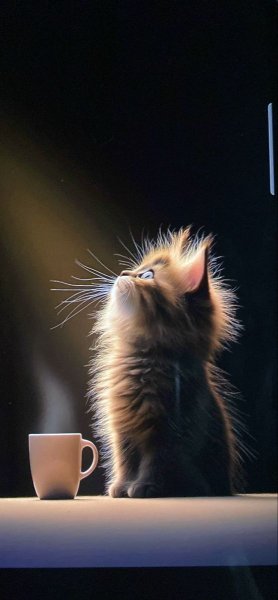 E3d98cacc81708523d39532e777962ba