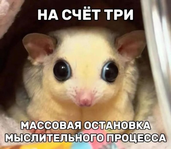 C3dad1f34f 000000000000