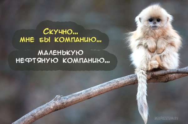 IMG 20230325 001630
