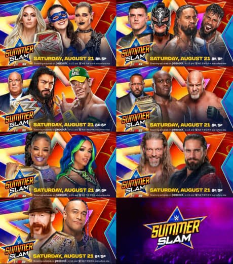 Wwe (43)