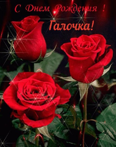 Ognennye-rozy gif thumbnail