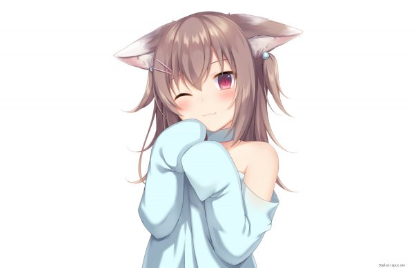 picture_243677893