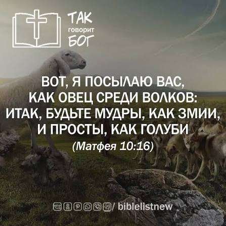 Библейская мудрость