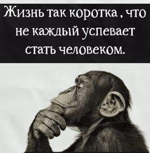 3cf9a0ce80 19904884