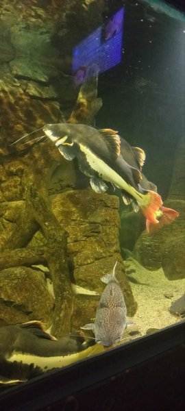 IMG 20250711 163723 587