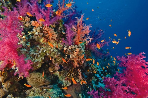 f5017fbda83b3c82f352996c