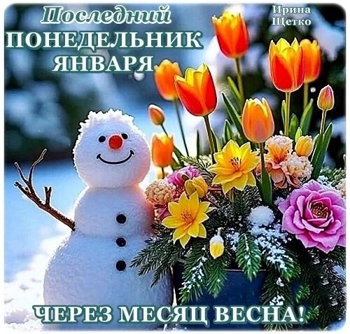IMG-20260126-WA0003