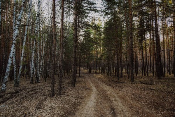 IMG 20260425 214333 554