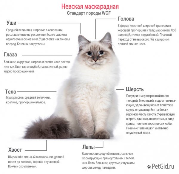 Невская маскарадная