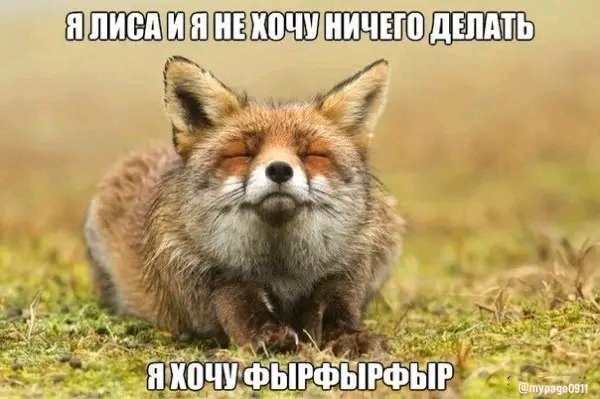 FB IMG 17087646677335809