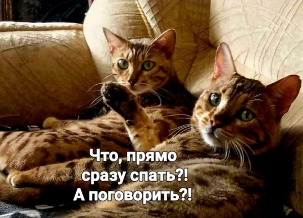 picture_408377501