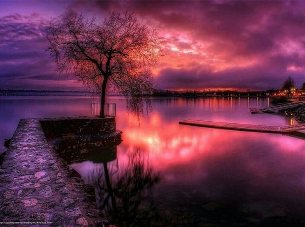 E83cab2febd6d2e3b7af33c3820b2498