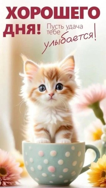 IMG 20260320 143919 606