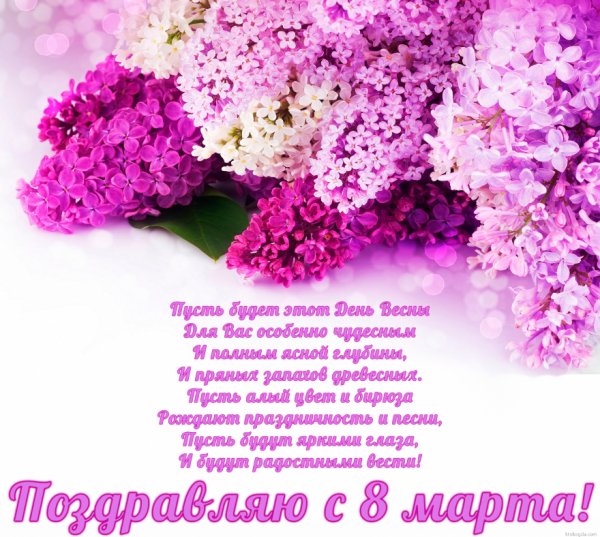 picture_162502505