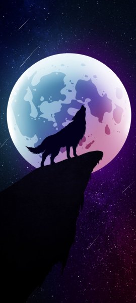 Android Wallpaper (645)