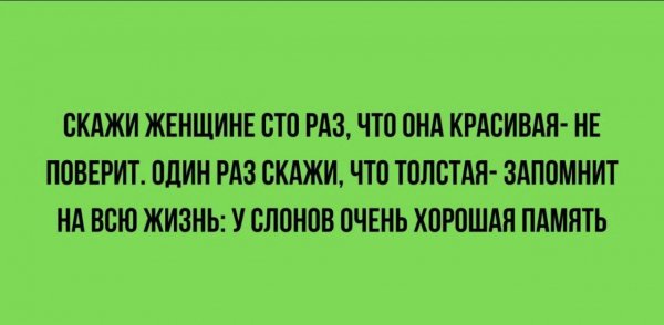 Photo1276@05-06-202408-02-33