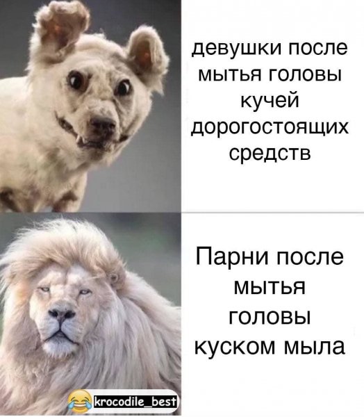 01dae4727be0ff75ced43321104bbc83