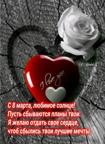 IMG 20210227 133330