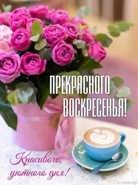 Друзья мои!